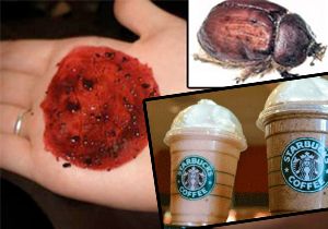 Starbucks böcekten vazgeçti 